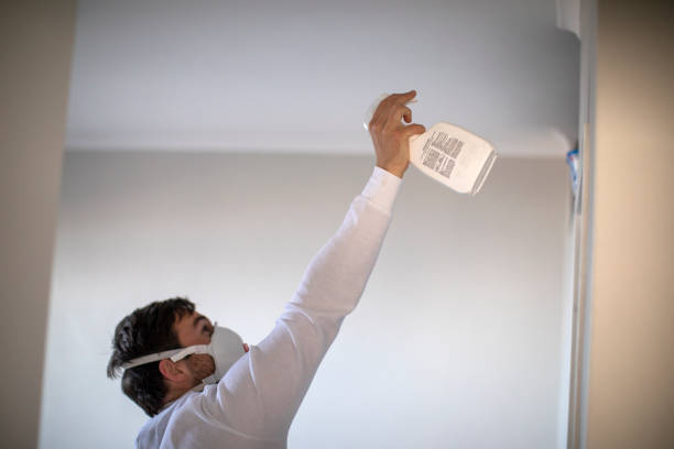 Professional Mold Remediation in Lowell, OR
